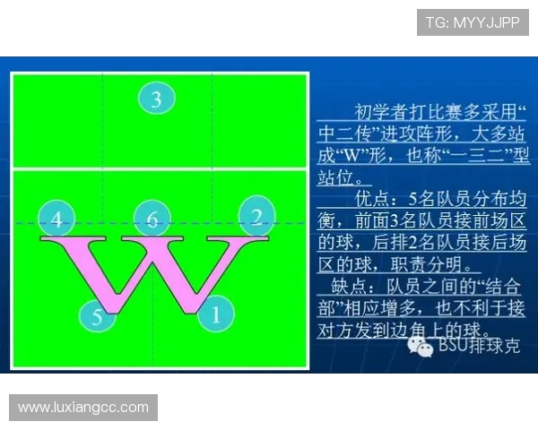 南京网球队整体压制打法解析与战术优势探讨